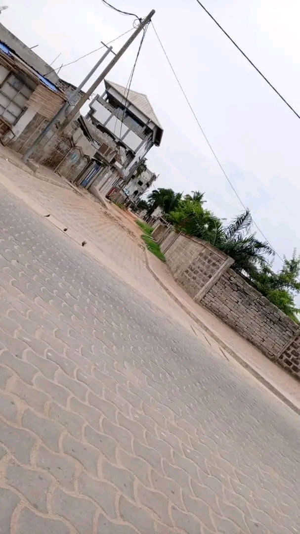 Opportunité de parcelle clôturée dans le quartier huppé de Fidjrossè à Cotonou: